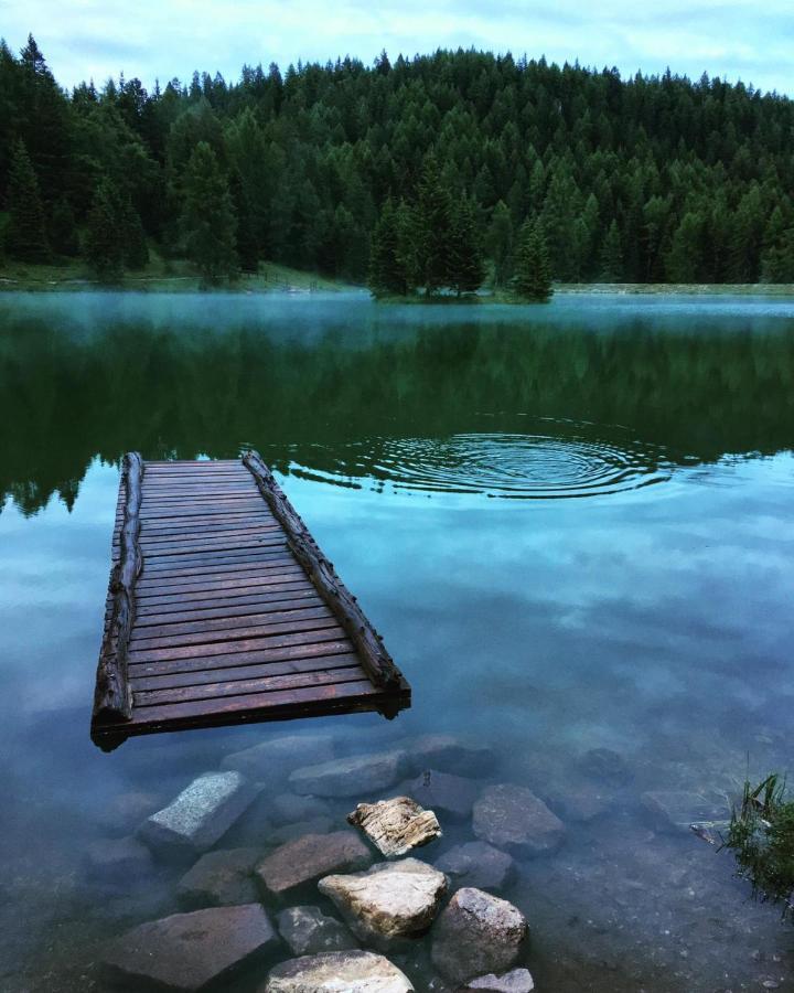 Albergo Scoiattolo Tret Bagian luar foto